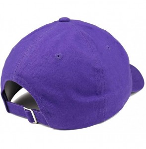 Baseball Caps Established 1969 Embroidered 51st Birthday Gift Soft Crown Cotton Cap - Vc300_purple - CH18QHCXAQ6