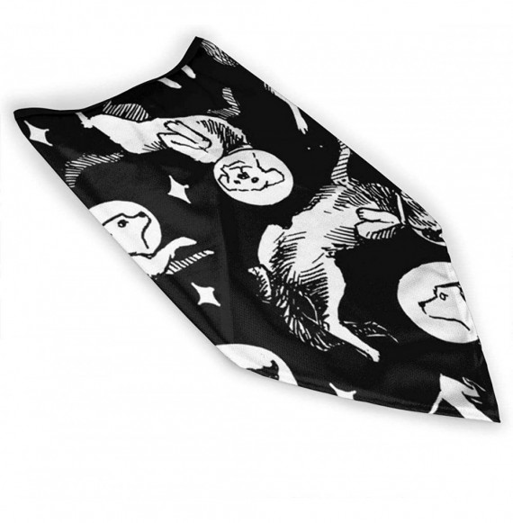 Balaclavas Sleeps Balaclava Bandana reusable Washable - Space Dog - C91983NO38G