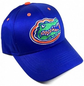 Baseball Caps Men's Champ Fashion Florida Gators Embroidered Cap - CG127GRLPYV