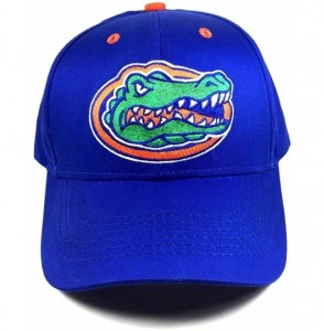 Baseball Caps Men's Champ Fashion Florida Gators Embroidered Cap - CG127GRLPYV